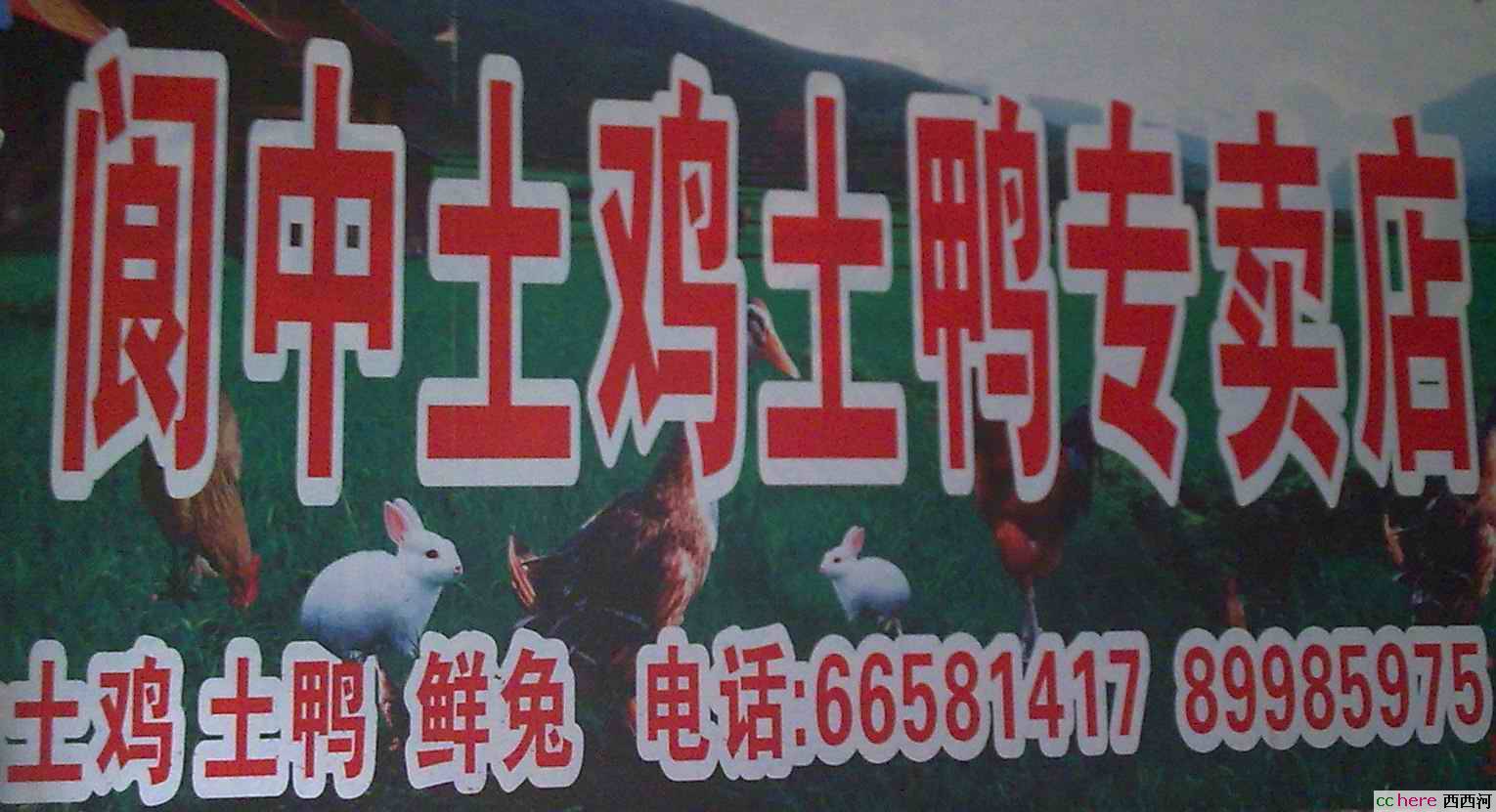 点看全图