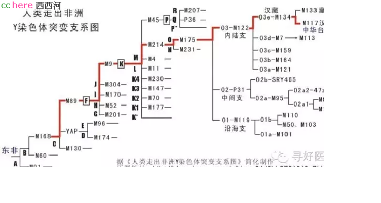 点看全图