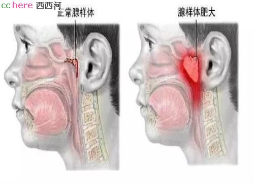 点看全图