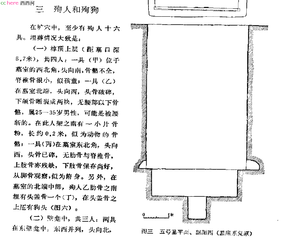 点看全图