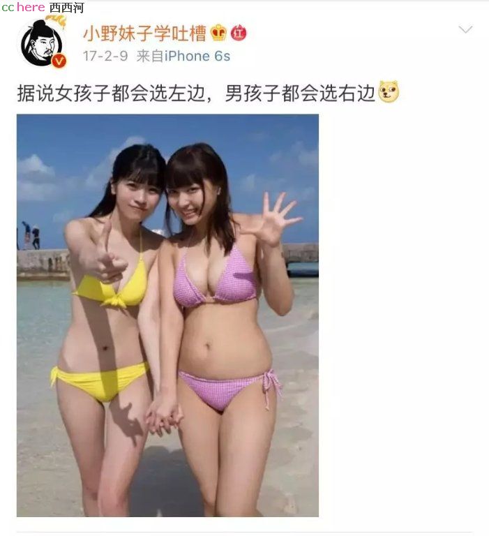 点看全图