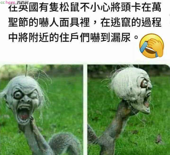 点看全图