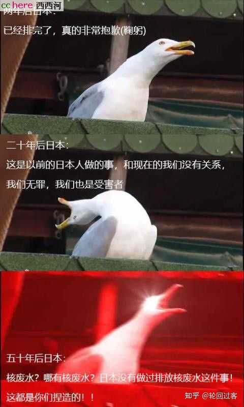 点看全图