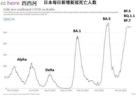 点看全图