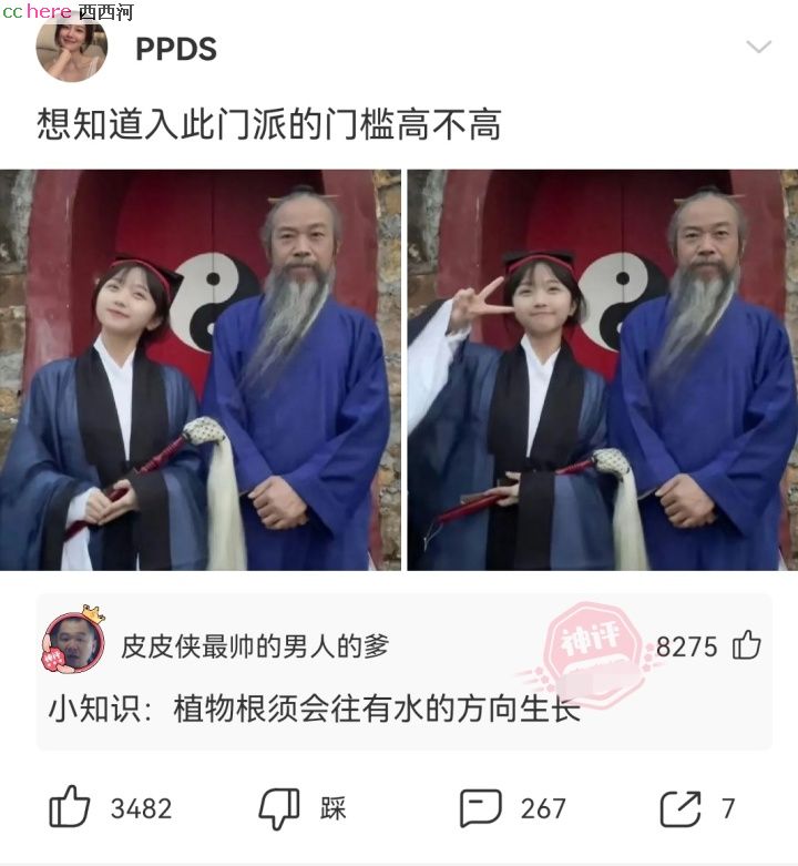 点看全图