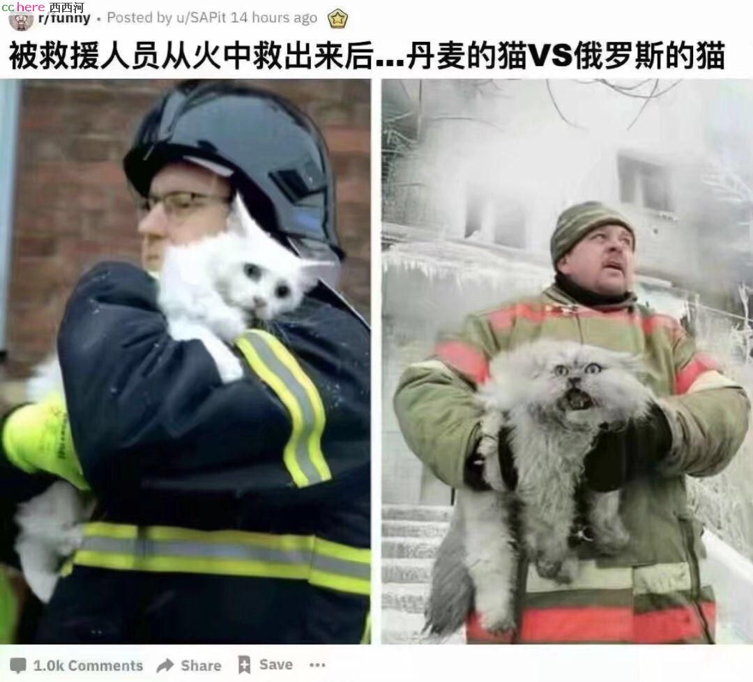 点看全图