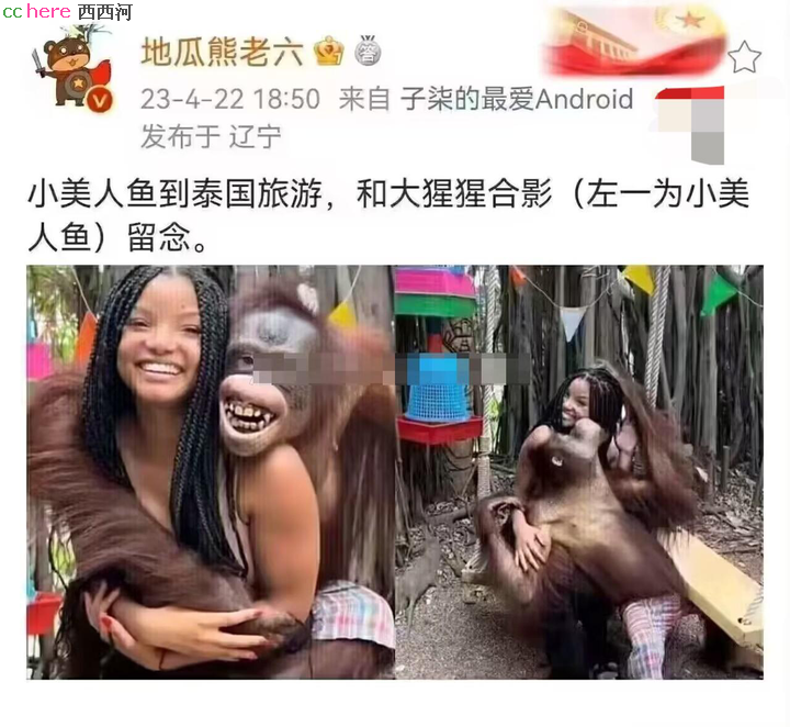 点看全图