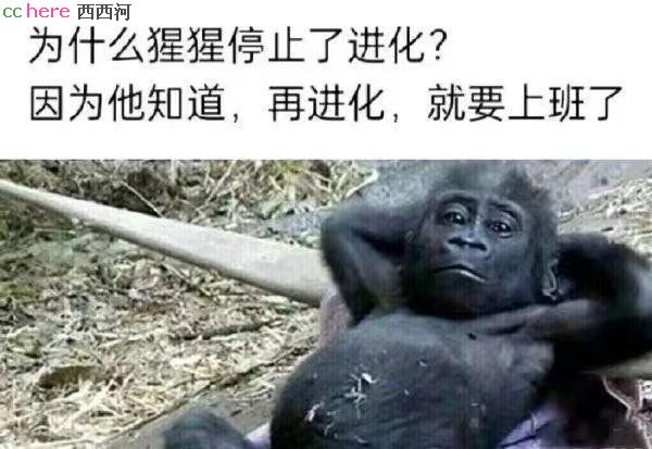 点看全图