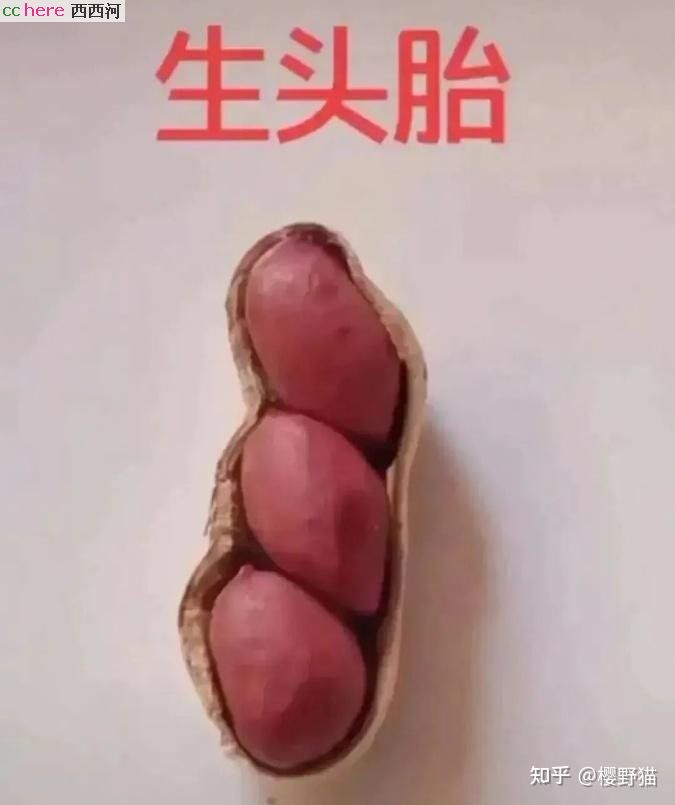 点看全图