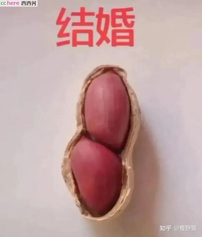 点看全图