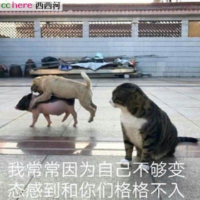 点看全图