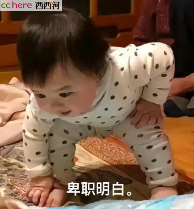 点看全图